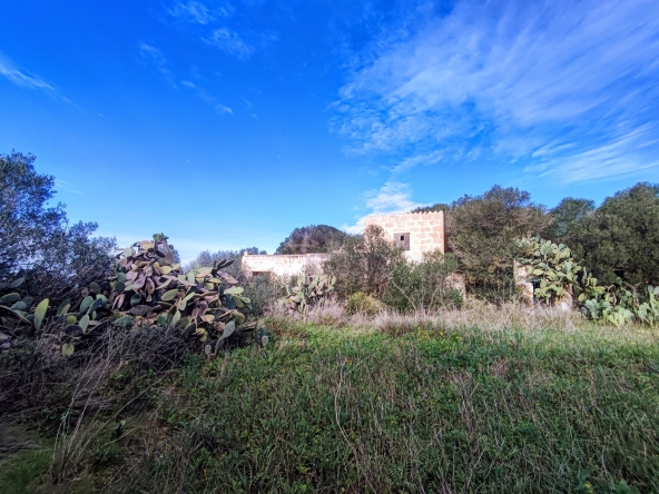 Finca rústica en venta Aljubets