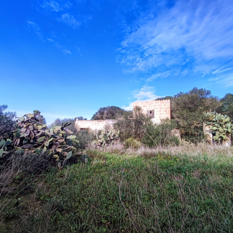 Finca rústica en venta Aljubets