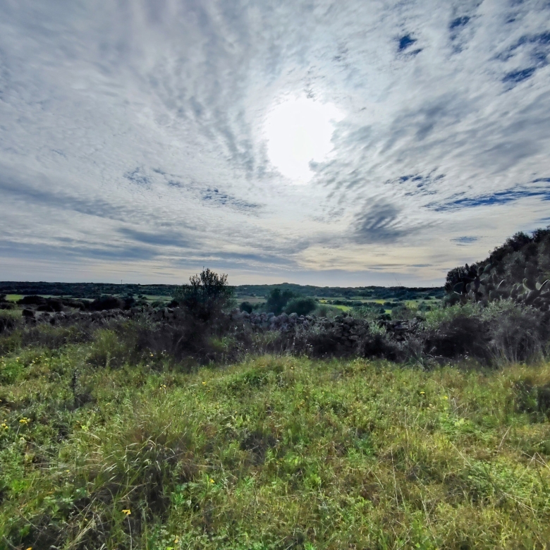 Finca rústica en venta Aljubets