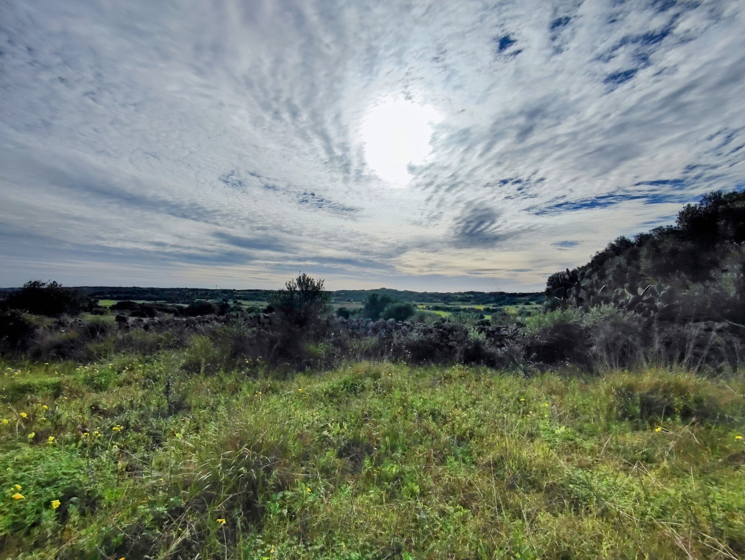 Finca rústica en venta Aljubets