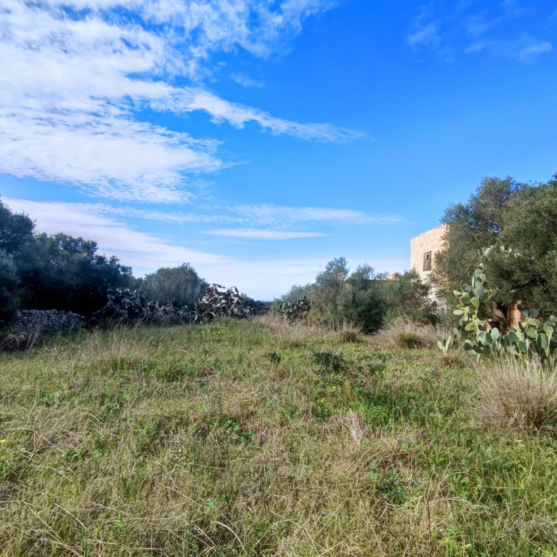 Finca rústica en venta Aljubets