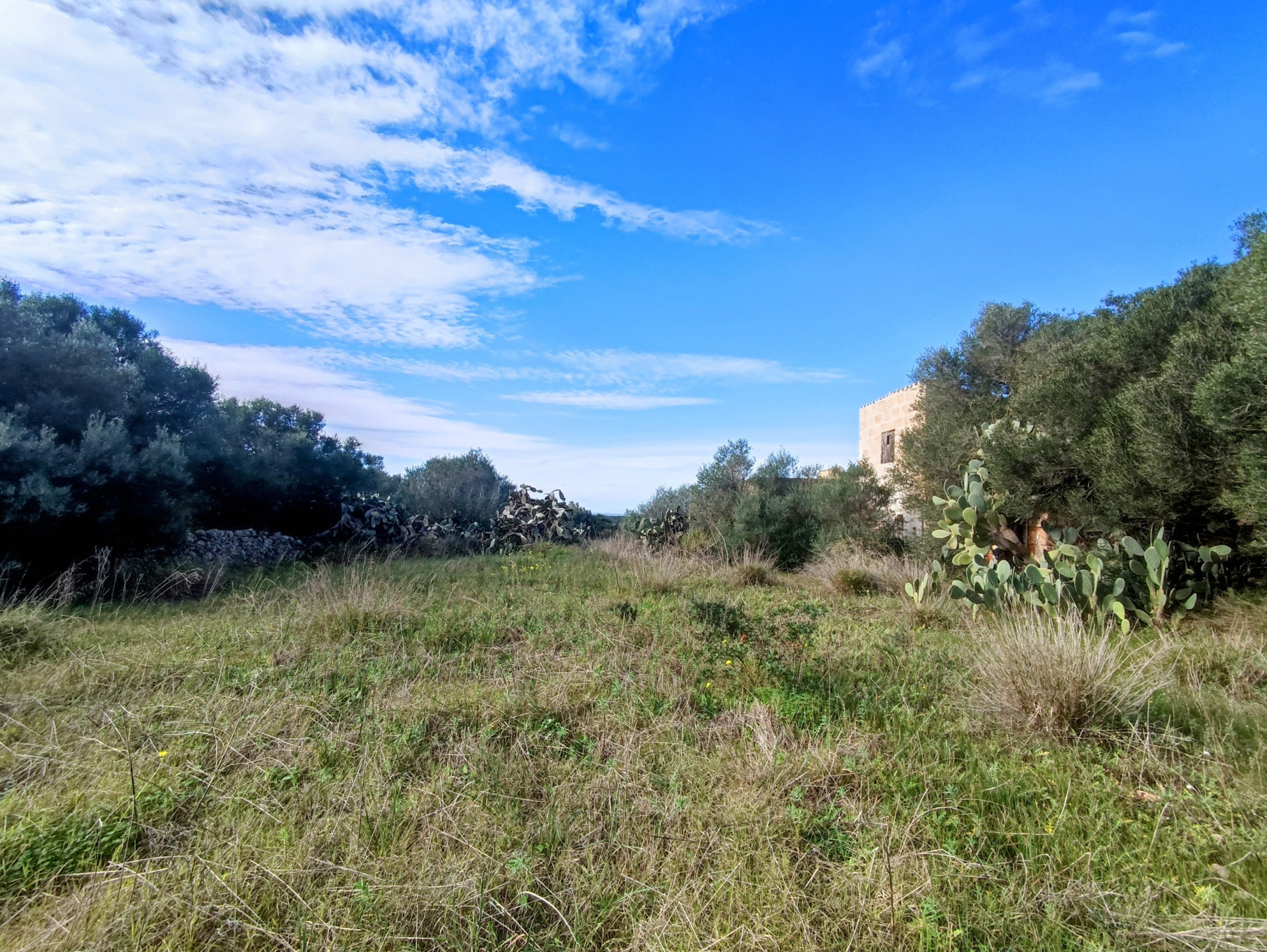 Finca rústica en venta Aljubets