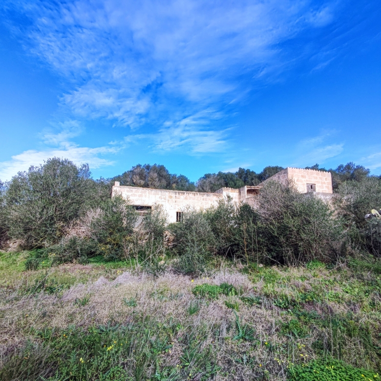 Finca rústica en venta Aljubets