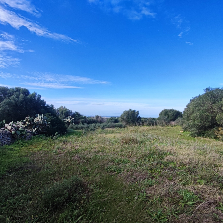 Finca rústica en venta Aljubets