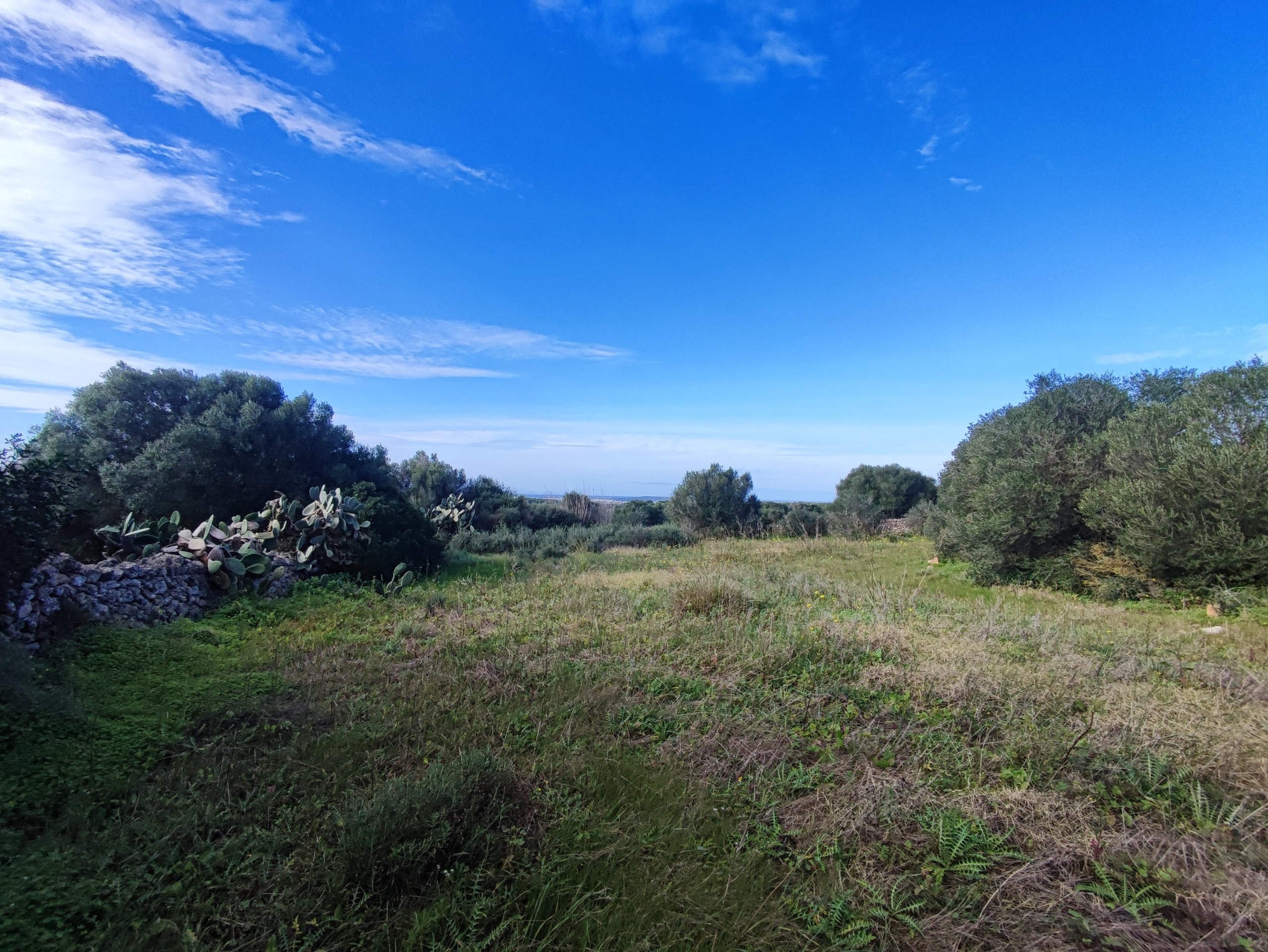 Finca rústica en venta Aljubets