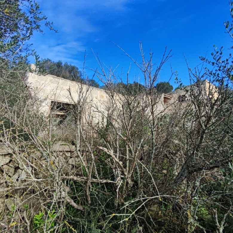 Finca rústica en venta Aljubets