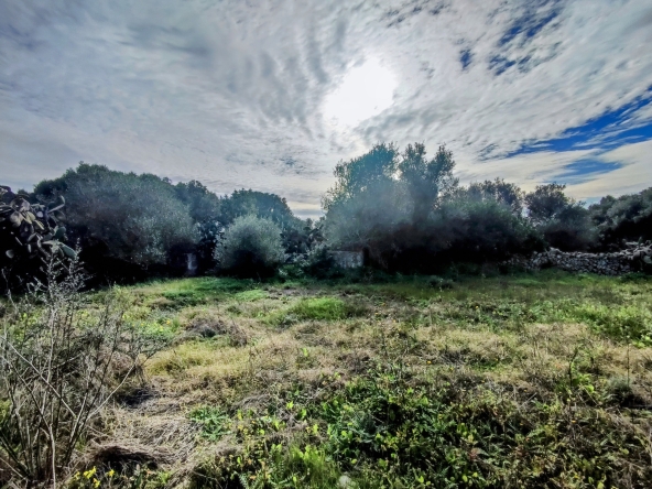 Finca rústica en venta Aljubets
