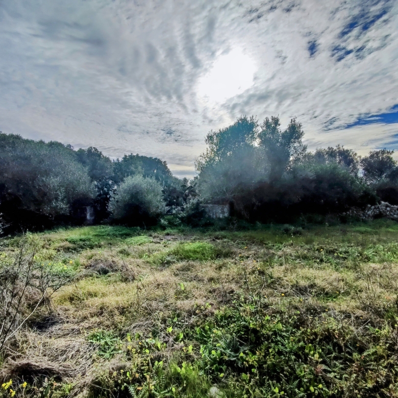 Finca rústica en venta Aljubets