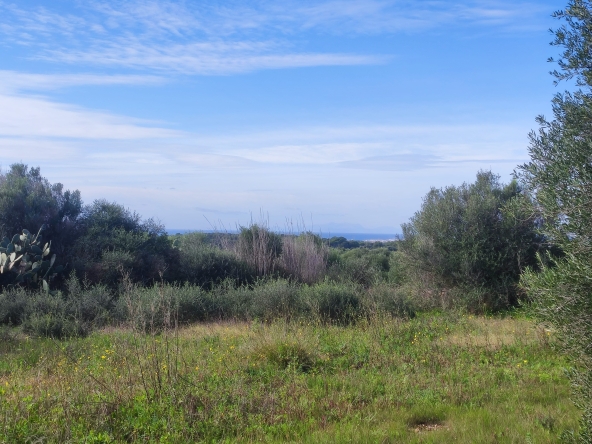 Finca rústica en venta Aljubets