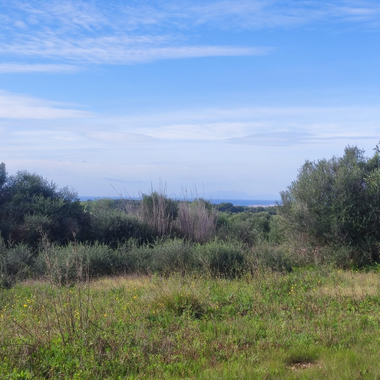Finca rústica en venta Aljubets