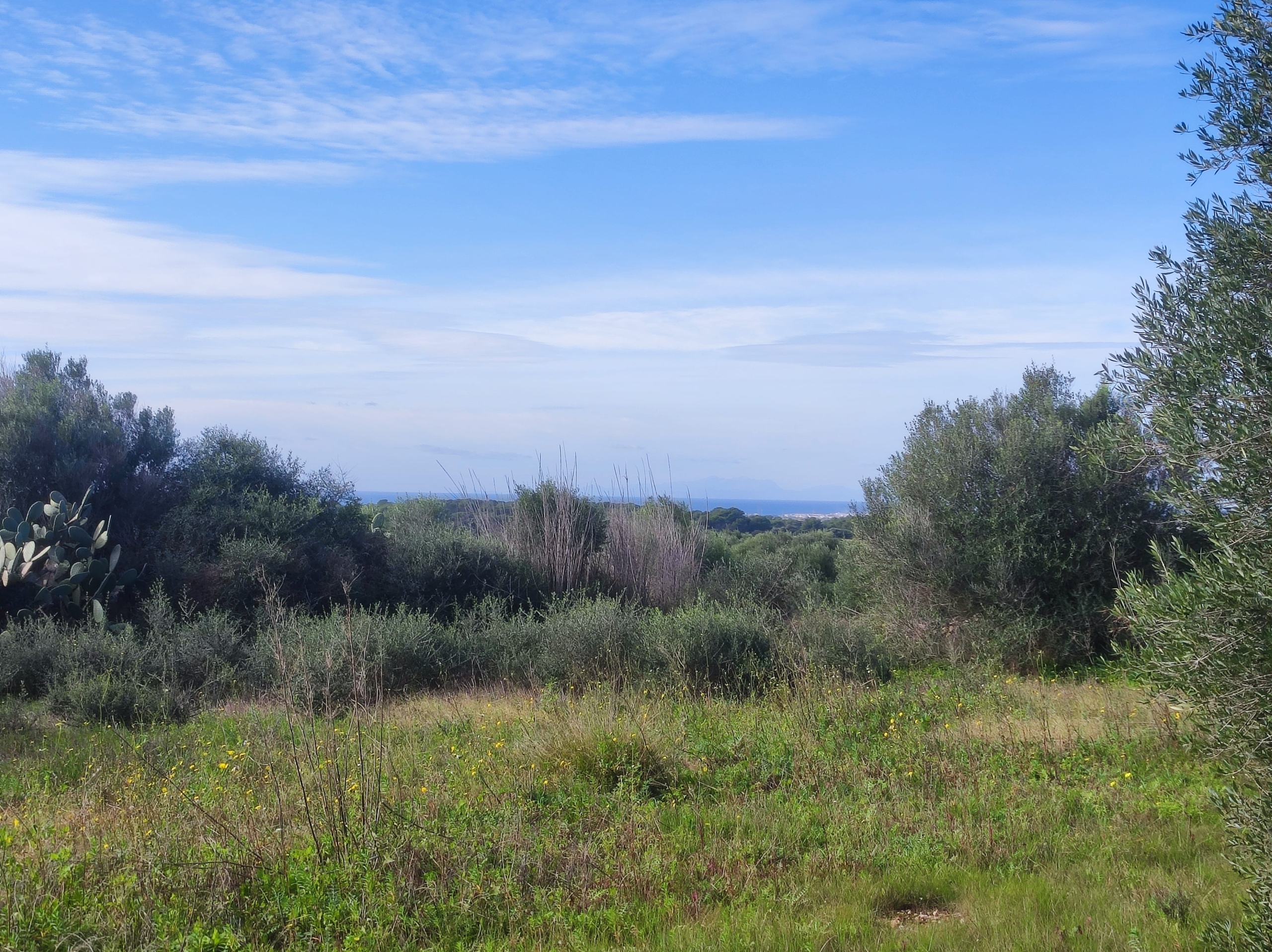 Finca rústica en venta Aljubets