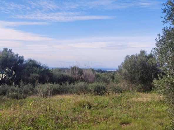Finca rústica en venta Aljubets
