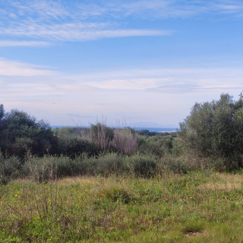 Finca rústica en venta Aljubets