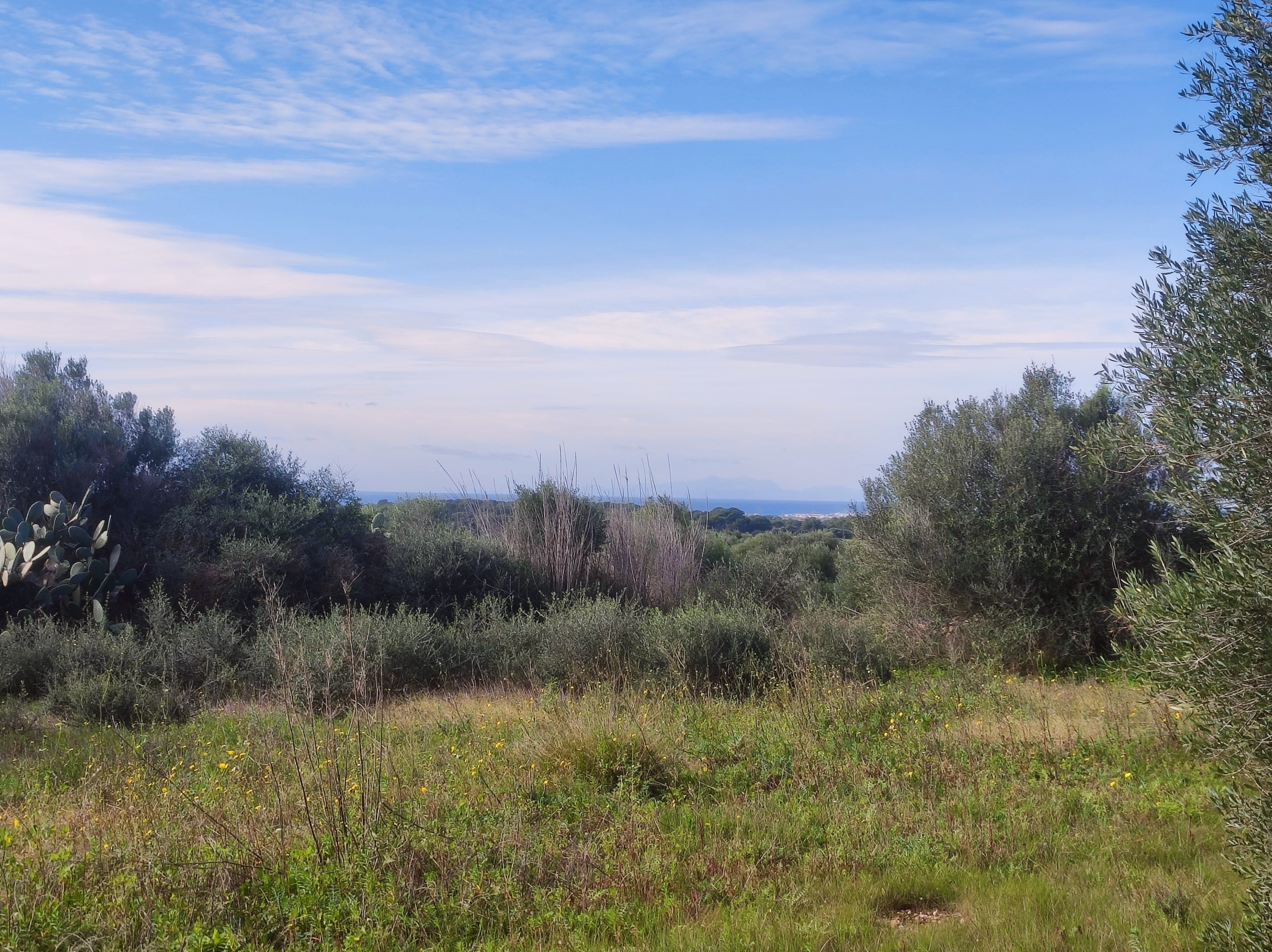 Finca rústica en venta Aljubets