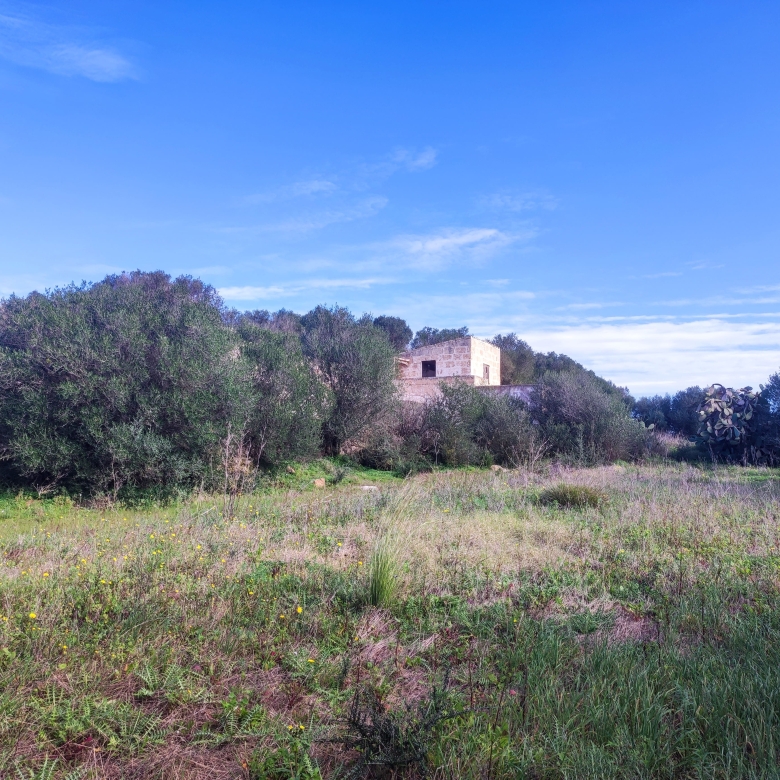 Finca rústica en venta Aljubets