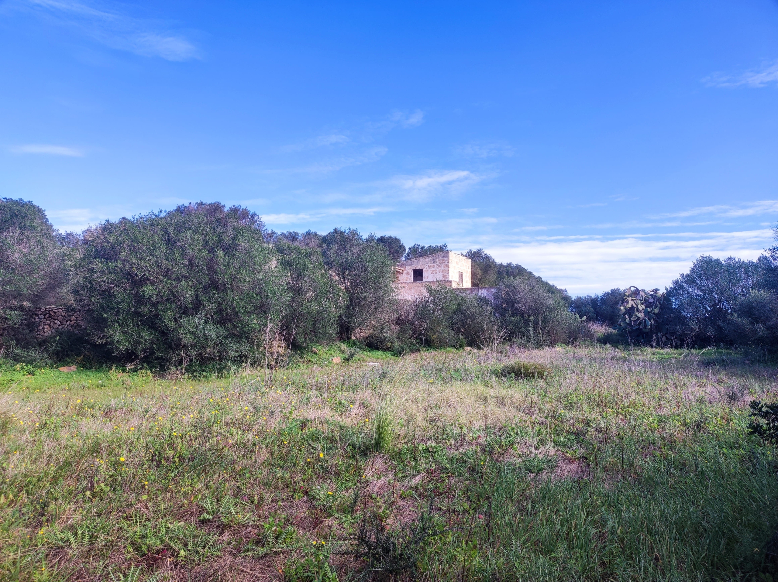 Finca rústica en venta Aljubets