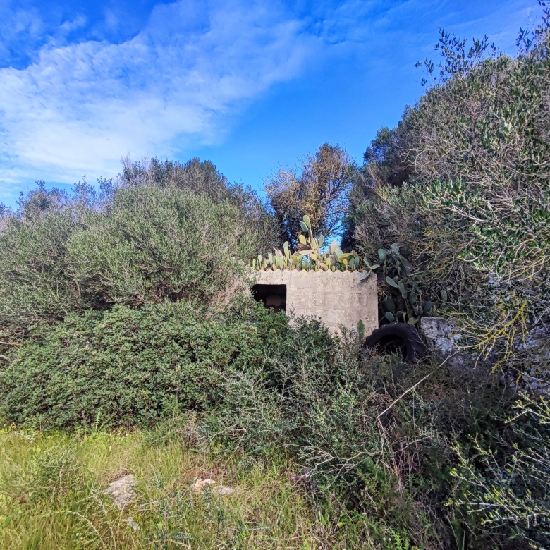 Finca rústica en venta Aljubets