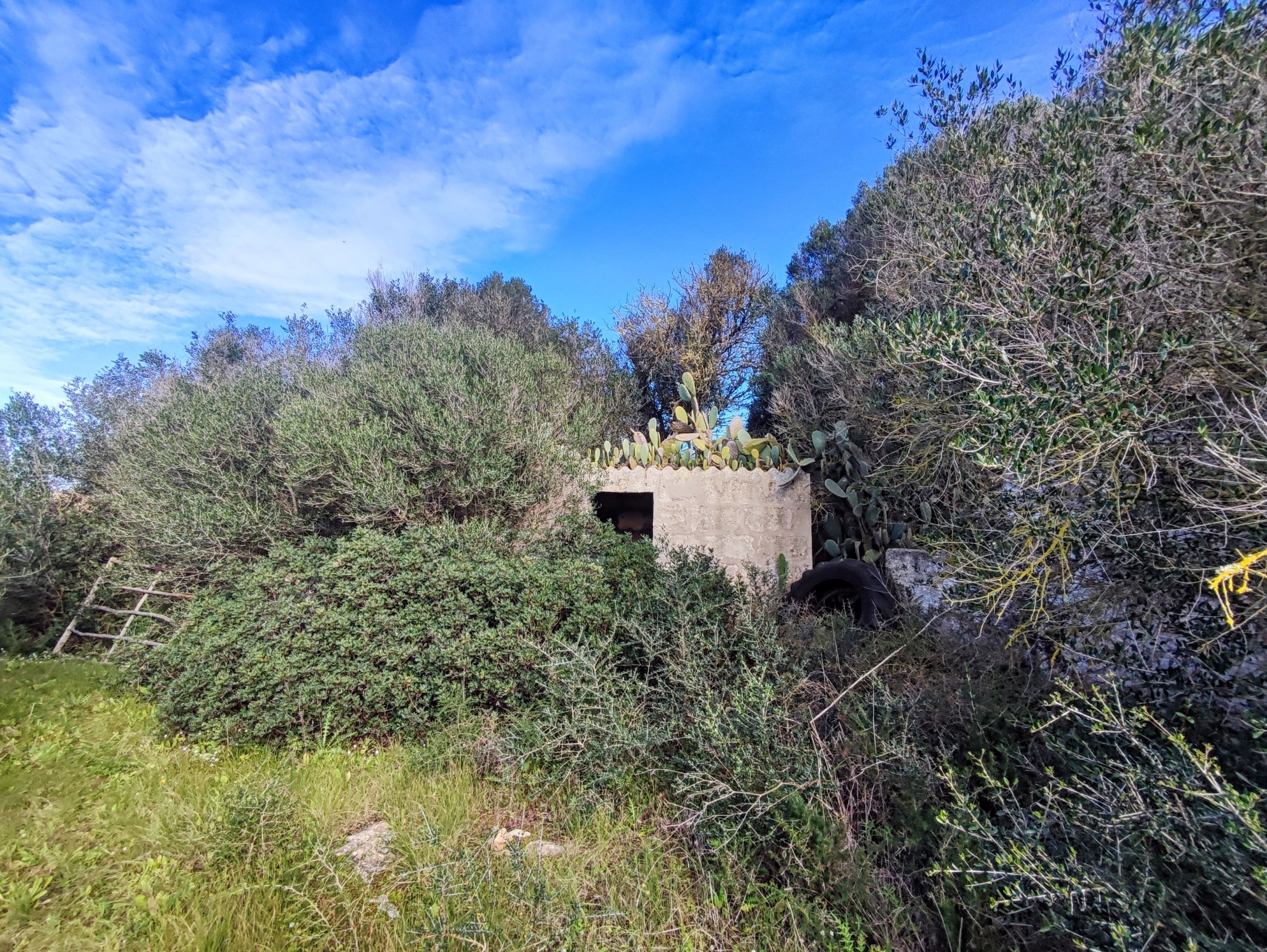 Finca rústica en venta Aljubets