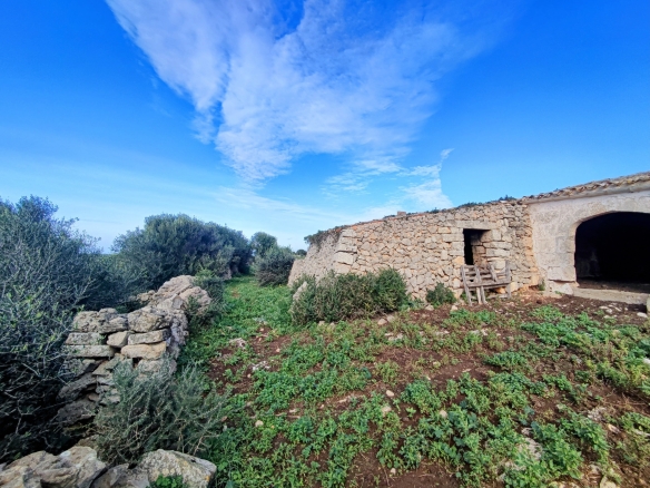 Finca rústica en venta Aljubets
