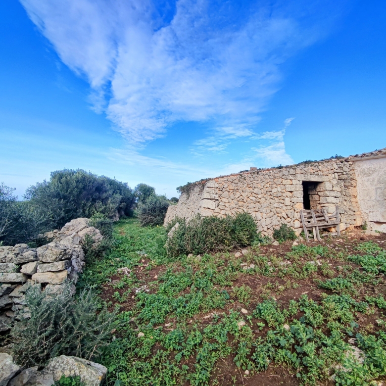 Finca rústica en venta Aljubets