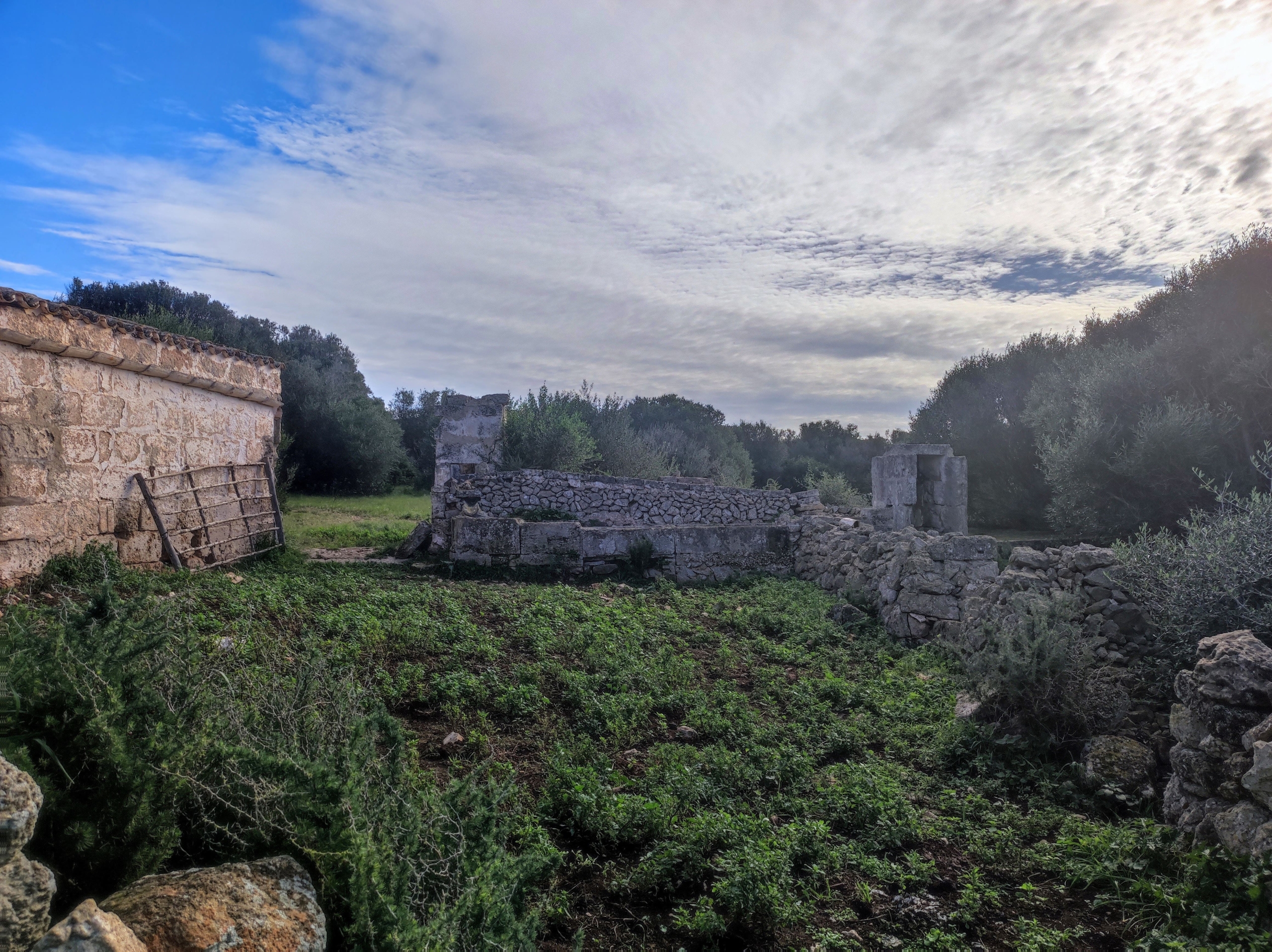 Finca rústica en venta Aljubets