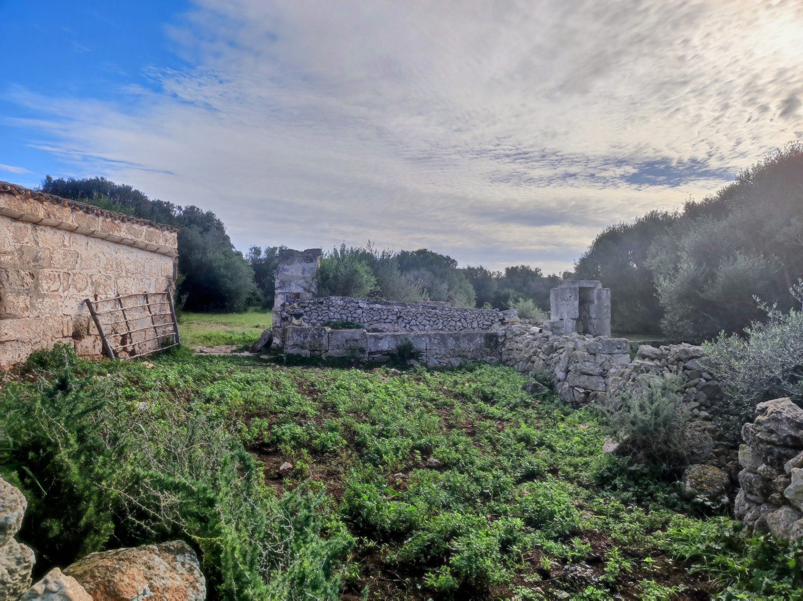 Finca rústica en venta Aljubets
