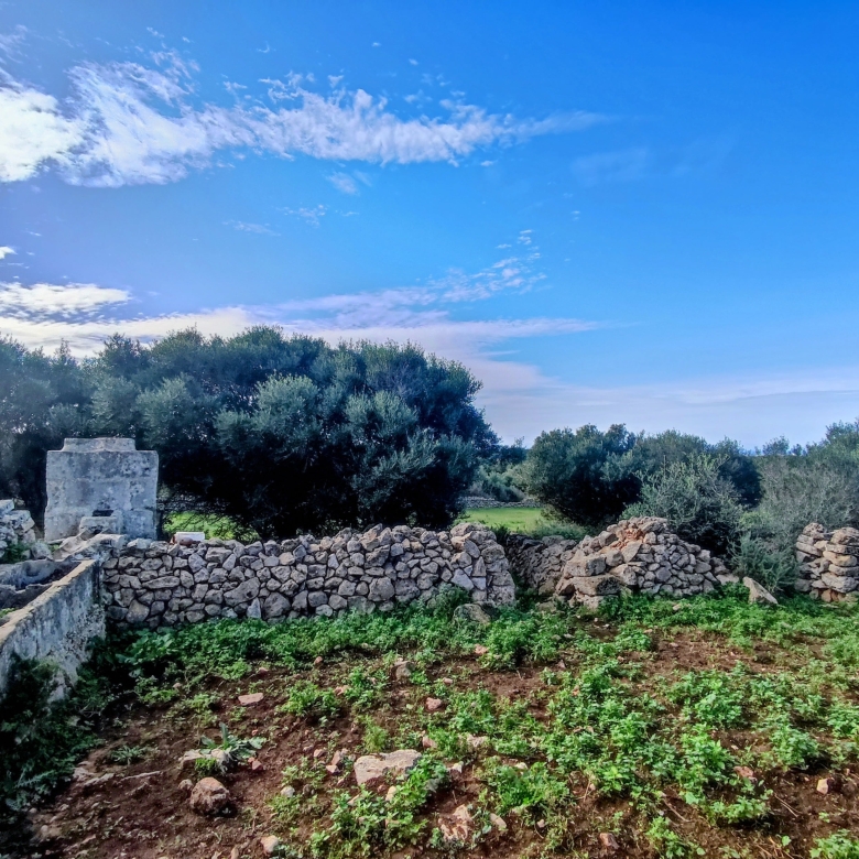 Finca rústica en venta Aljubets