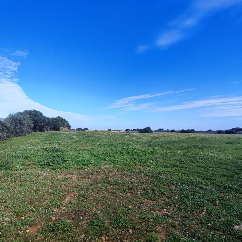 Finca rústica en venta Aljubets