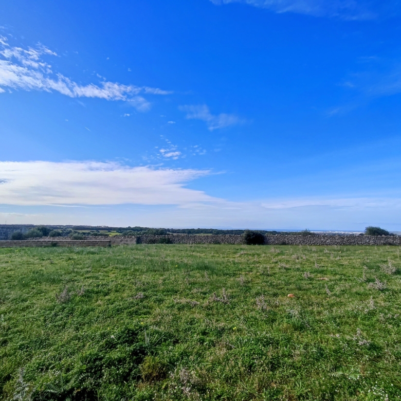 Finca rústica en venta Aljubets