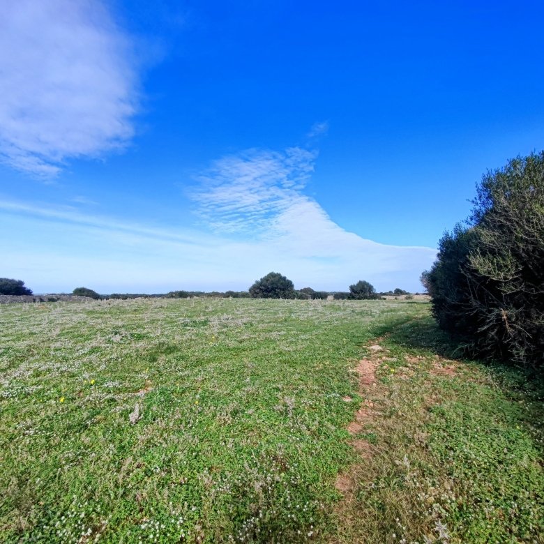 Finca rústica en venta Aljubets