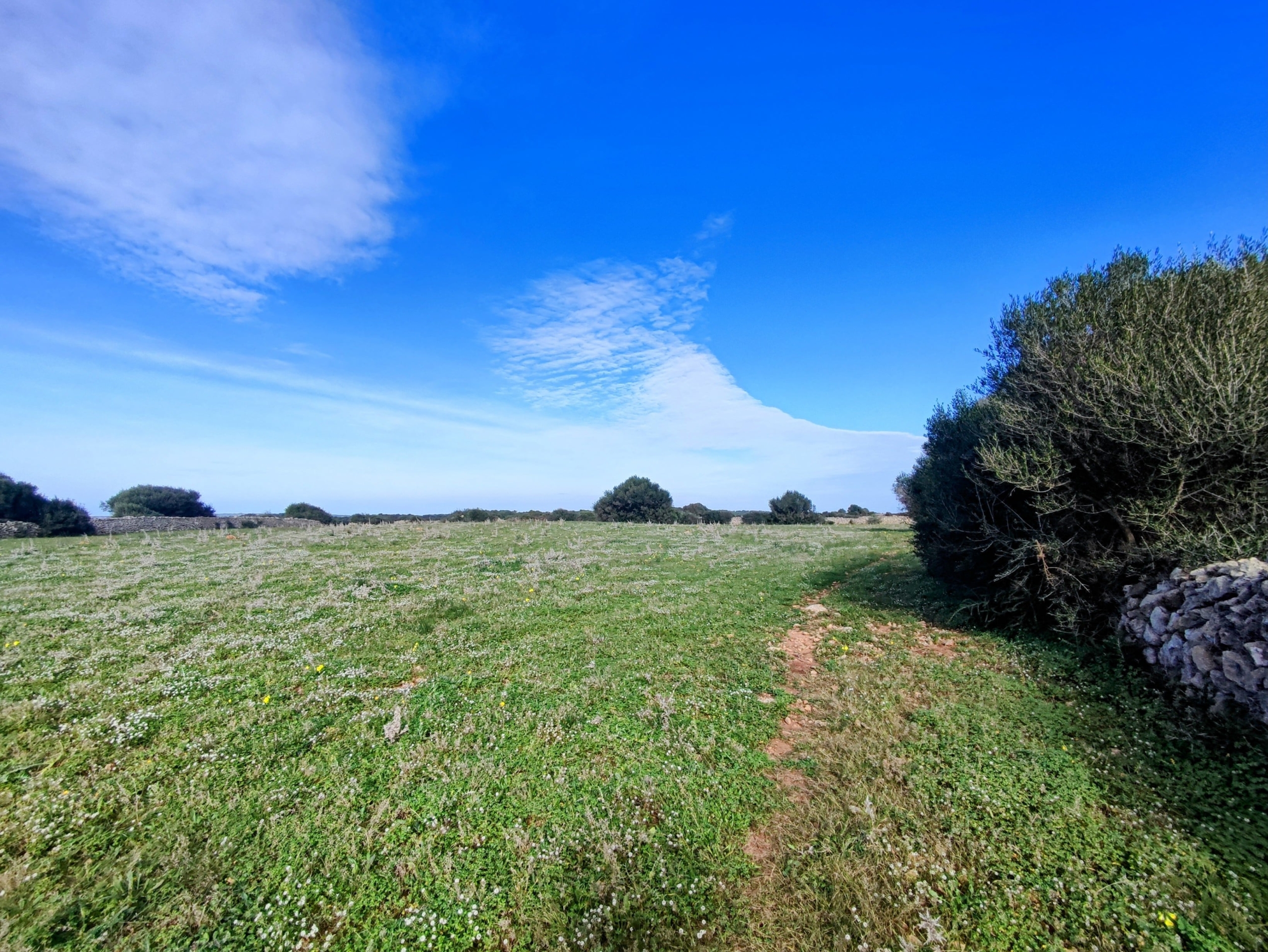Finca rústica en venta Aljubets