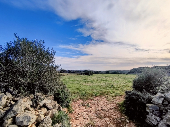 Finca rústica en venta Aljubets