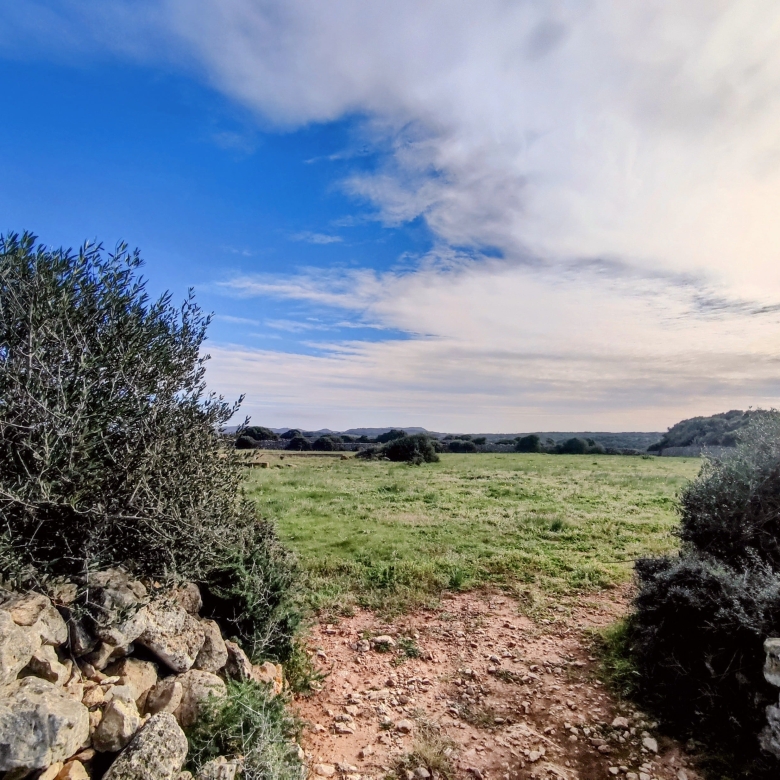 Finca rústica en venta Aljubets