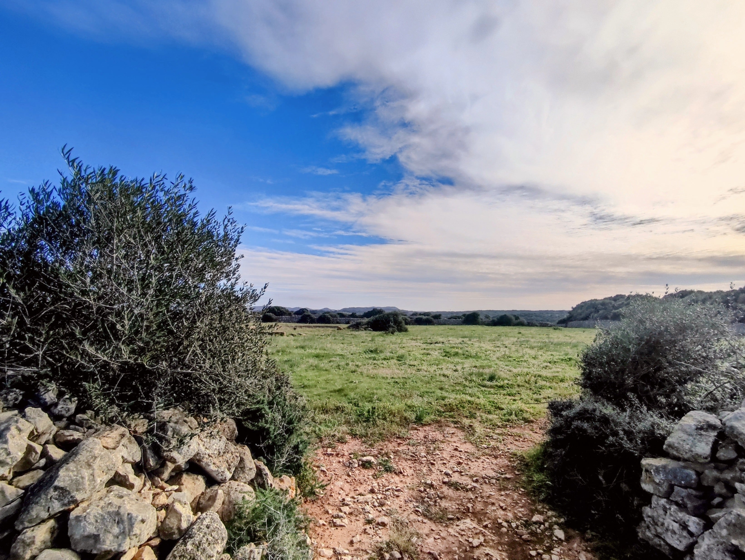 Finca rústica en venta Aljubets