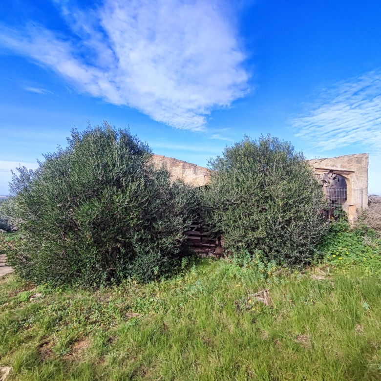 Finca rústica en venta Aljubets