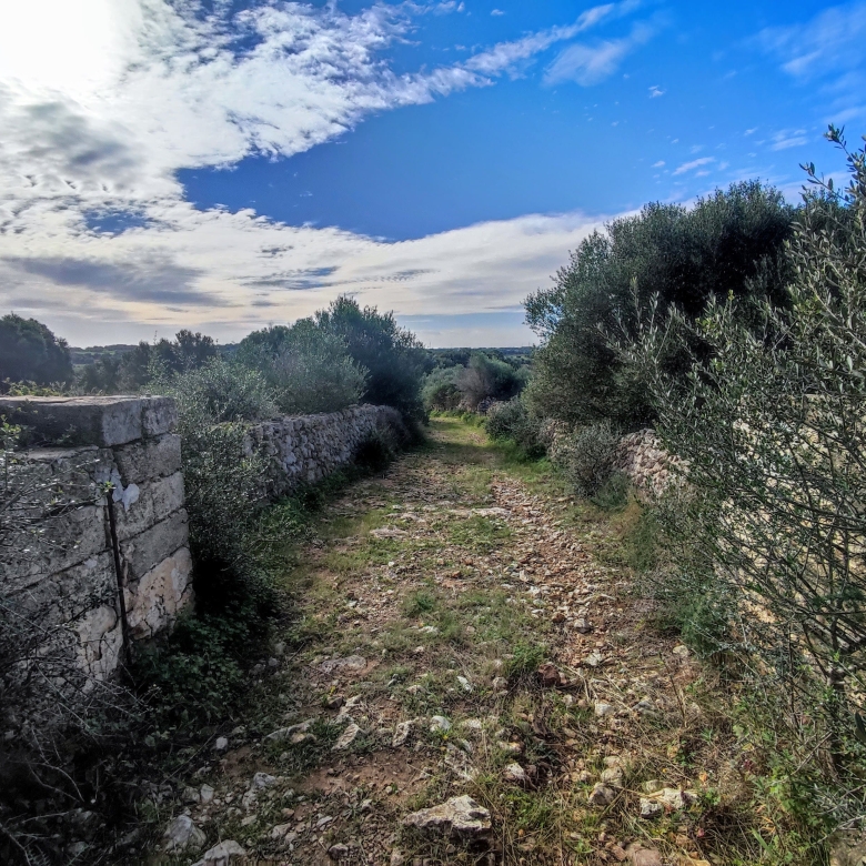 Finca rústica en venta Aljubets