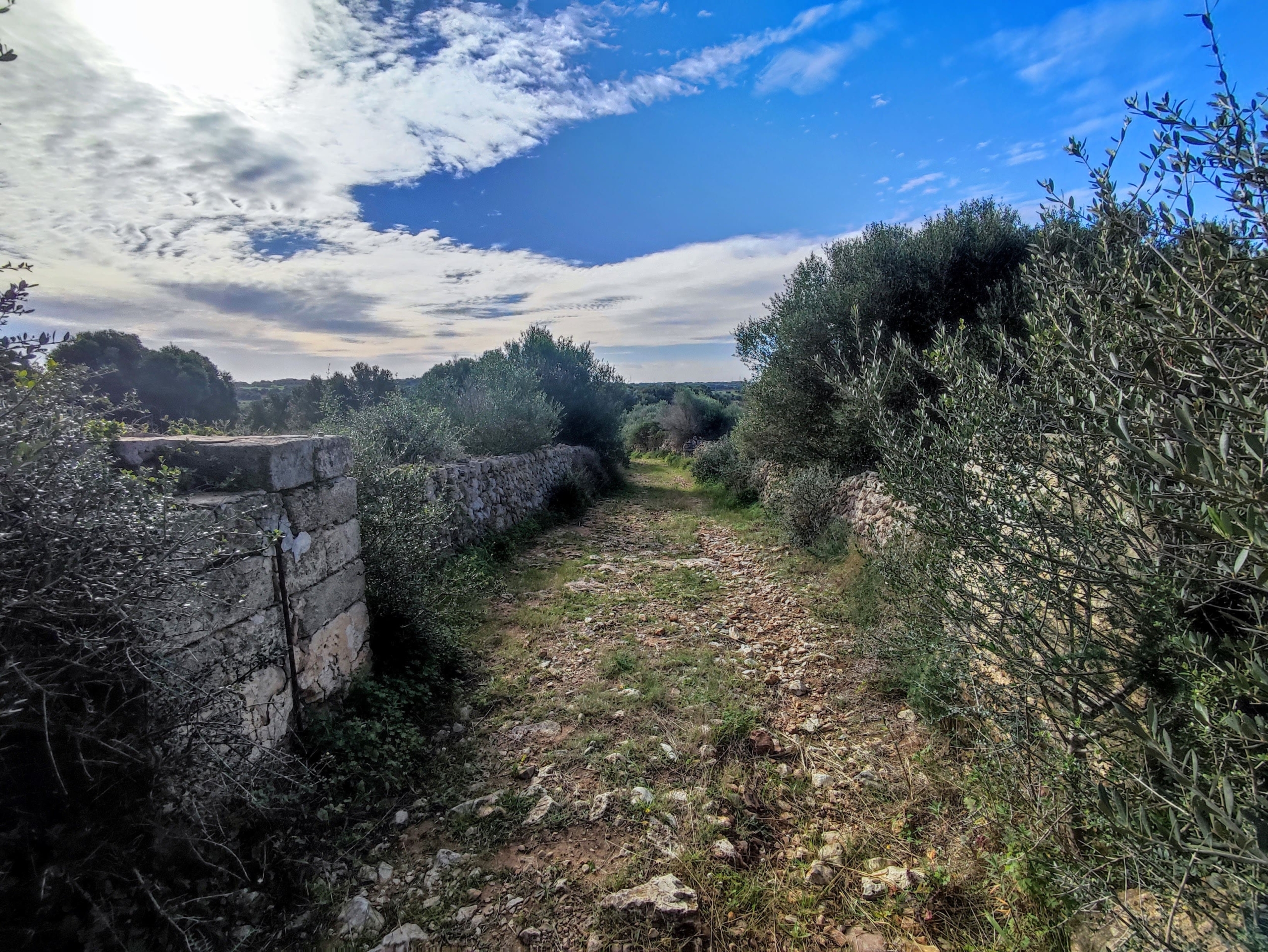 Finca rústica en venta Aljubets