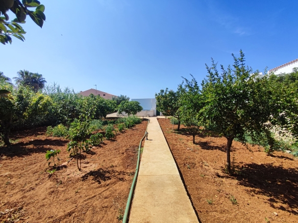 Casa unifamiliar con jardín botánico y huerto en zona tranquila de Ciutadella