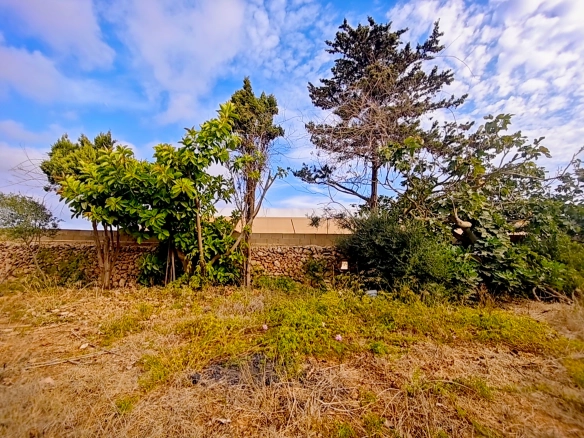Hortal de 2.021 m² en venta cerca de Ciutadella de Menorca