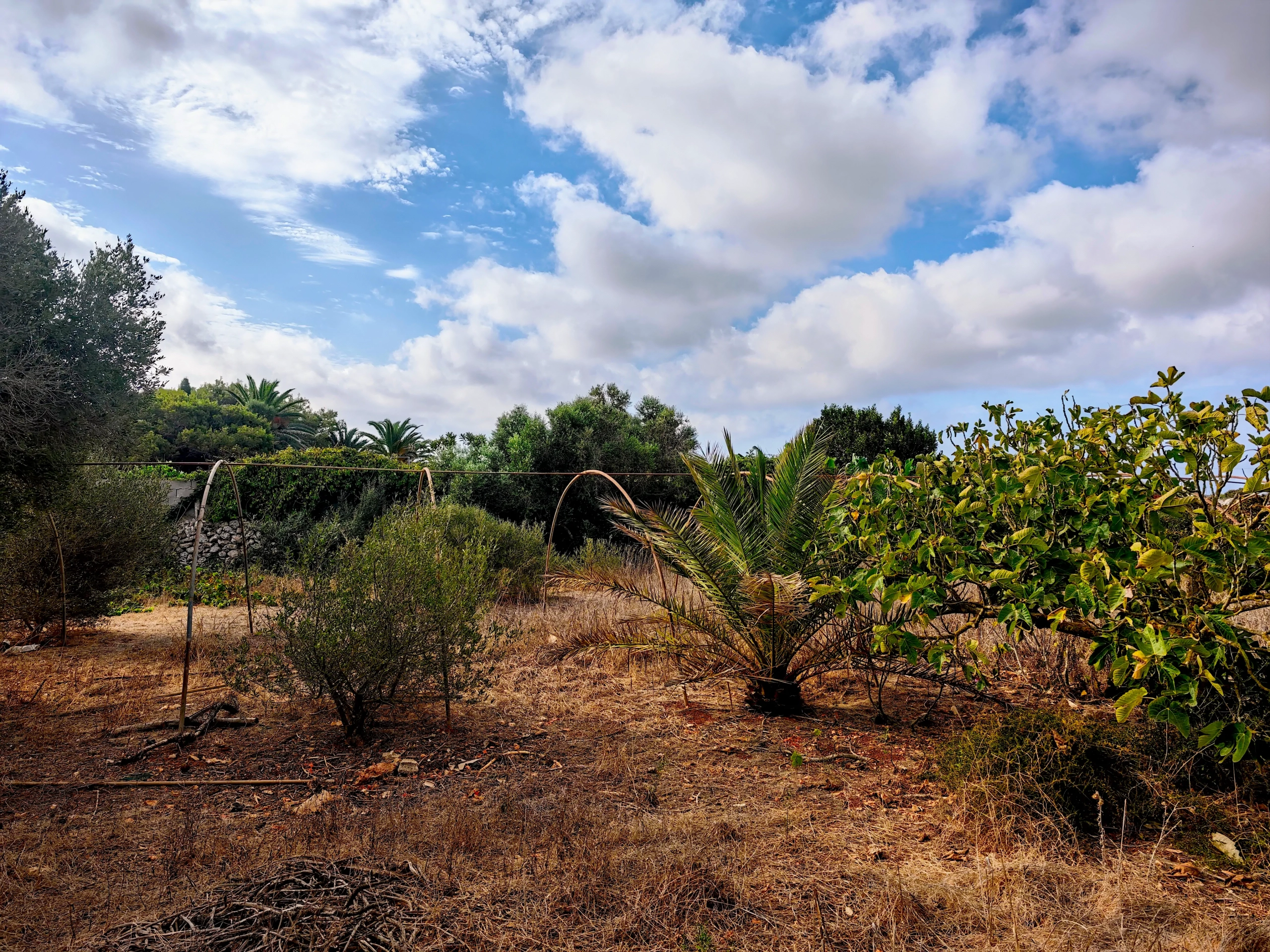 Hortal de 2.021 m² en venta cerca de Ciutadella de Menorca