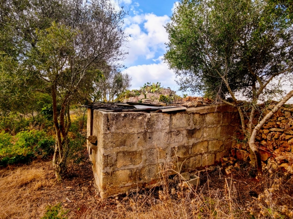 Hortal de 2.021 m² en venta cerca de Ciutadella de Menorca