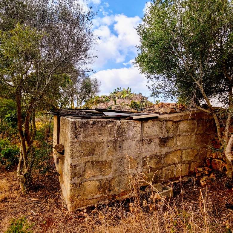 Hortal de 2.021 m² en venta cerca de Ciutadella de Menorca