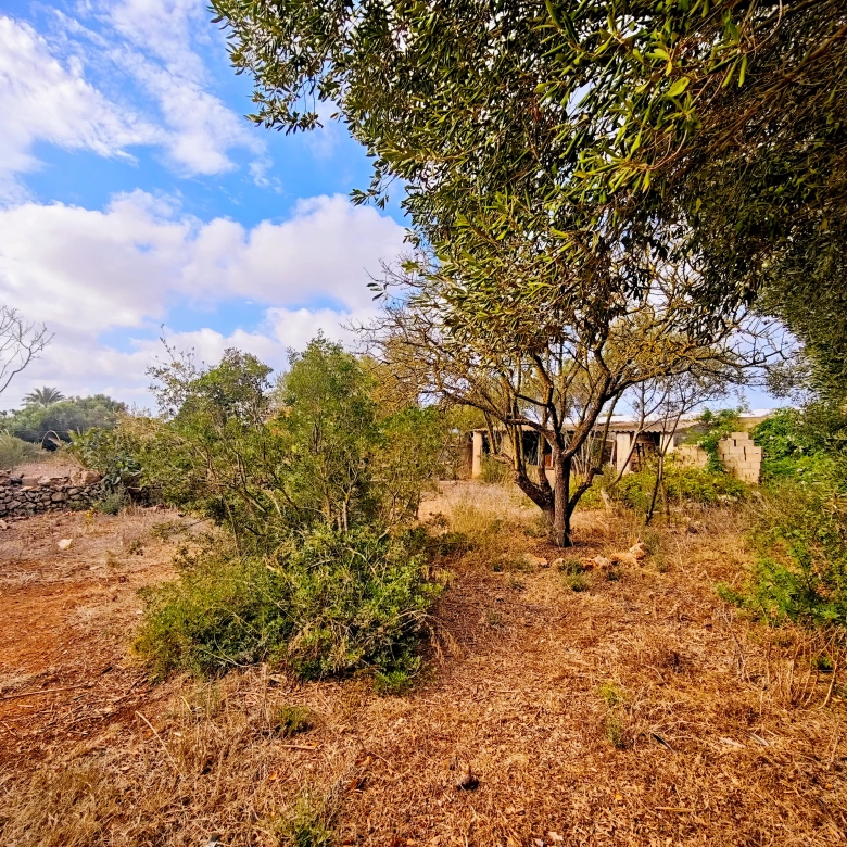 Hortal de 2.021 m² en venta cerca de Ciutadella de Menorca