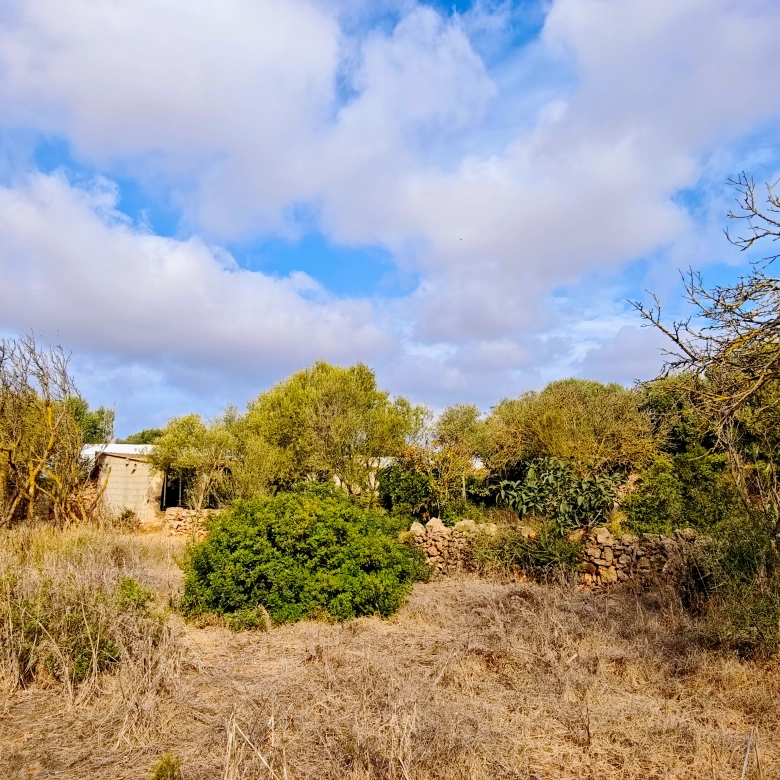 Hortal de 2.021 m² en venta cerca de Ciutadella de Menorca