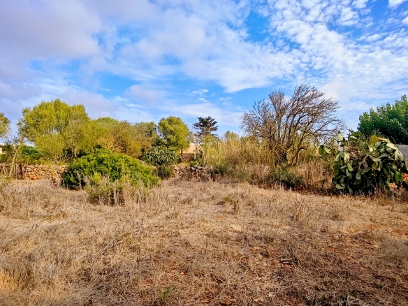 Hortal de 2.021 m² en venta cerca de Ciutadella de Menorca