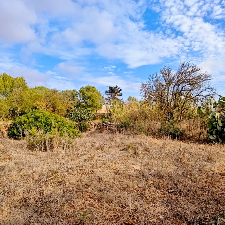 Hortal de 2.021 m² en venta cerca de Ciutadella de Menorca