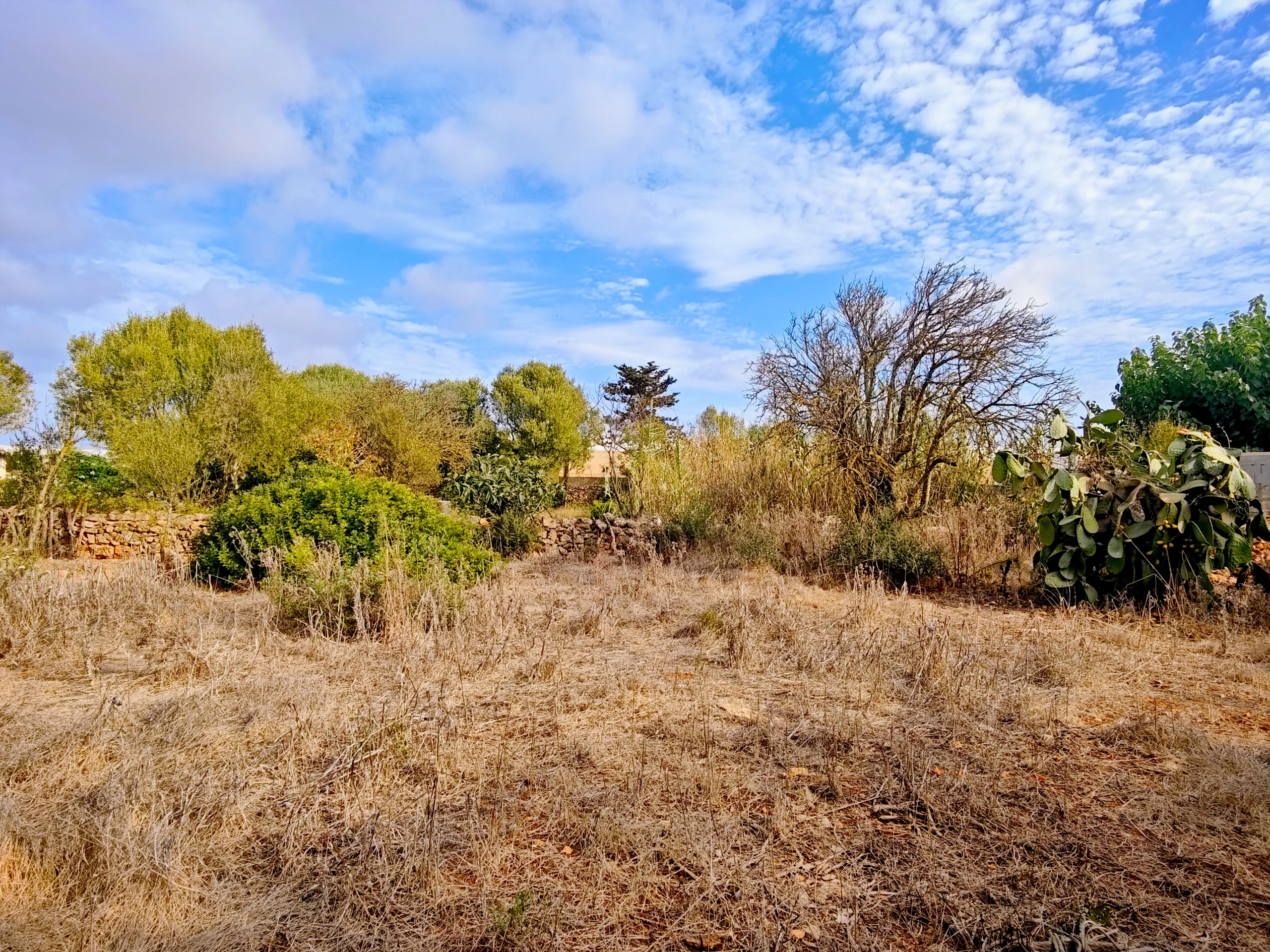 Hortal de 2.021 m² en venta cerca de Ciutadella de Menorca