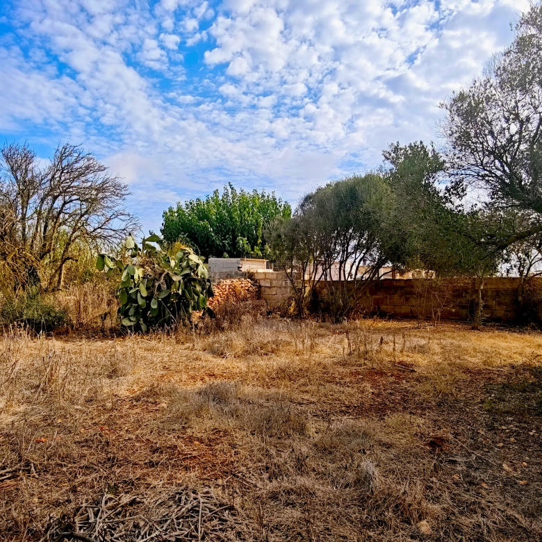 Hortal de 2.021 m² en venta cerca de Ciutadella de Menorca
