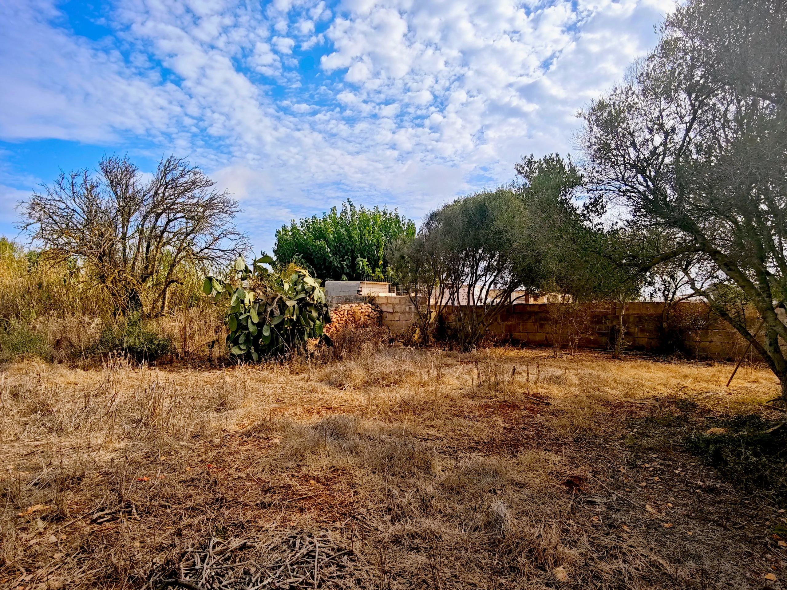 Hortal de 2.021 m² en venta cerca de Ciutadella de Menorca