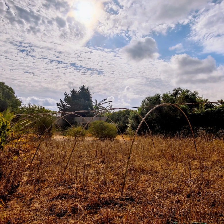 Hortal de 2.021 m² en venta cerca de Ciutadella de Menorca